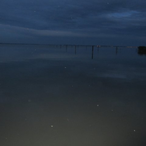 img_1076.jpg