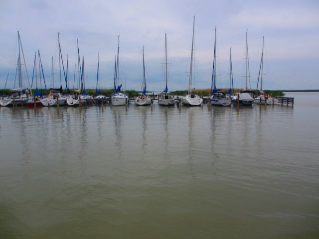img_1096.jpg