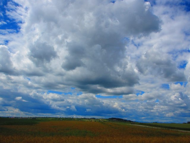 img_1227.jpg