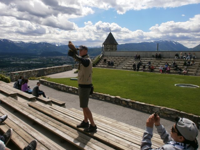 p5140603.jpg