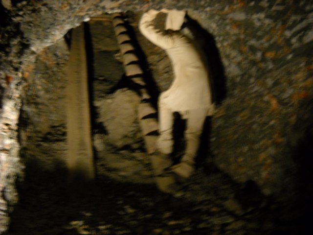 dscn1398.jpg