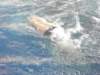 dscn1557_small.jpg