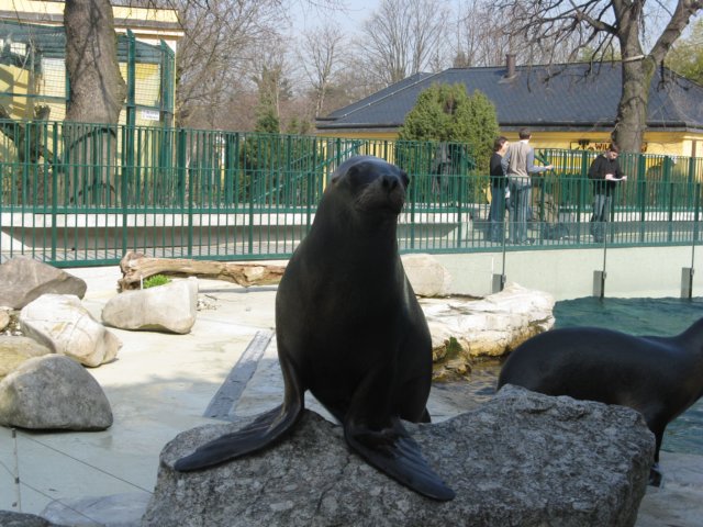 img_2117.jpg