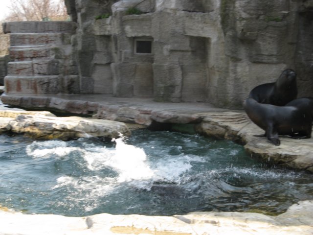 img_2132.jpg