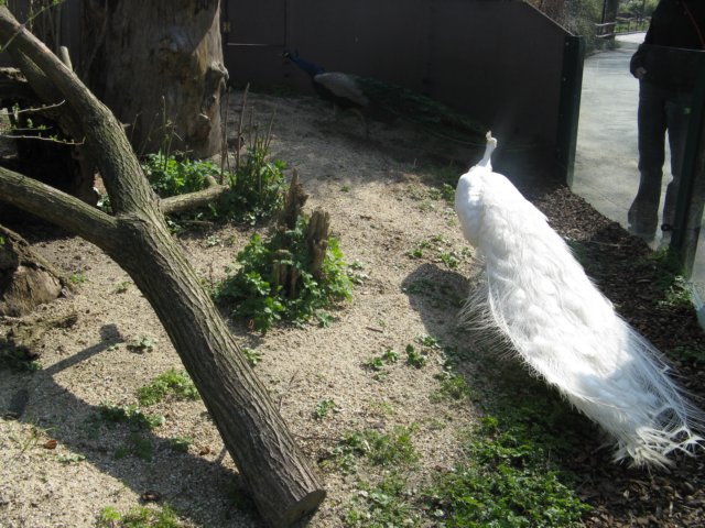 img_2150.jpg