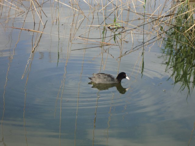 dsc05045.jpg