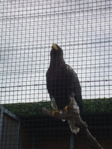 dsc05093.jpg