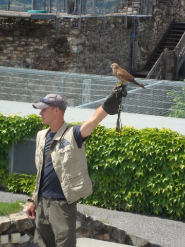 dsc05101.jpg