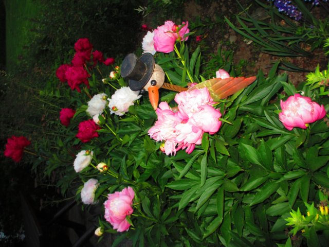 img_4995.jpg