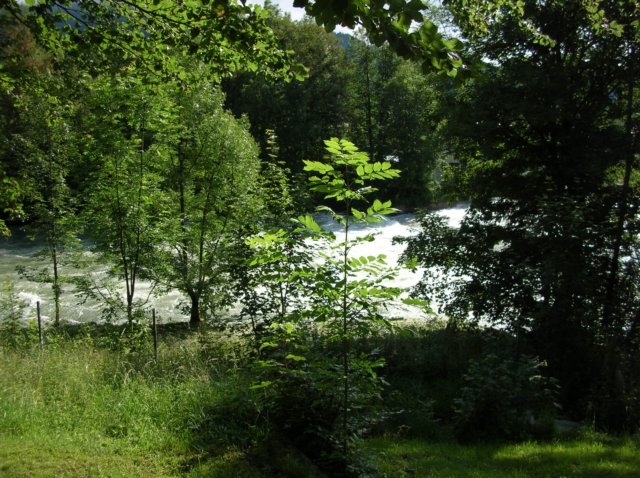 dscn3409.jpg