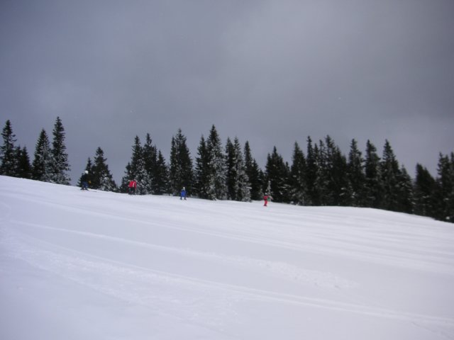 pict3558.jpg