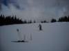 dscn0310_small.jpg