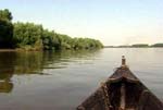 Du bist an der Alten Donau und liegst in einem Boot, die Sonne scheint dir ins Gesicht und du träumst vor dich hin...