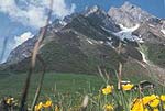 Deine Eltern haben dich in den Ferien auf einen Bergbauernhof mitgenommen, obwohl du eigentlich mit Freunden ans Meer wolltest. Jetzt sitzt du sauer am Balkon und schaust auf die Berge...