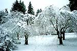 Du machst einen Winterspaziergang durch einen verschneiten Park...