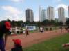p5280851_small.jpg