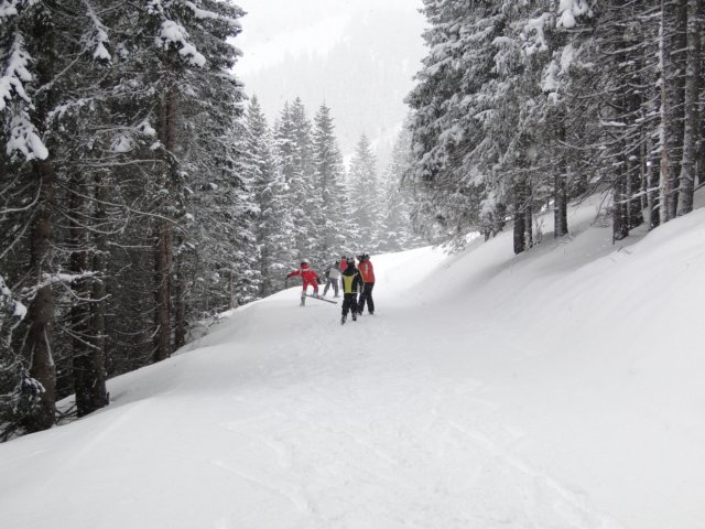 dsc00724.jpg