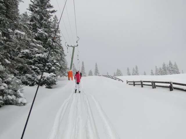 dsc00727.jpg