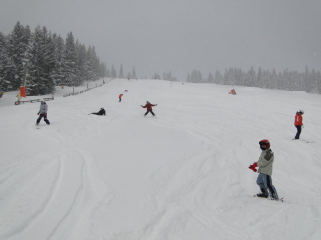 dsc00729.jpg
