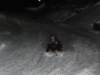 dsc00784_small.jpg