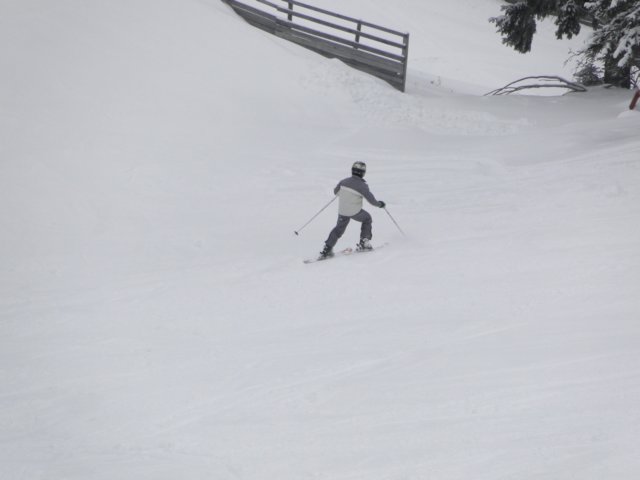 dsc00842.jpg