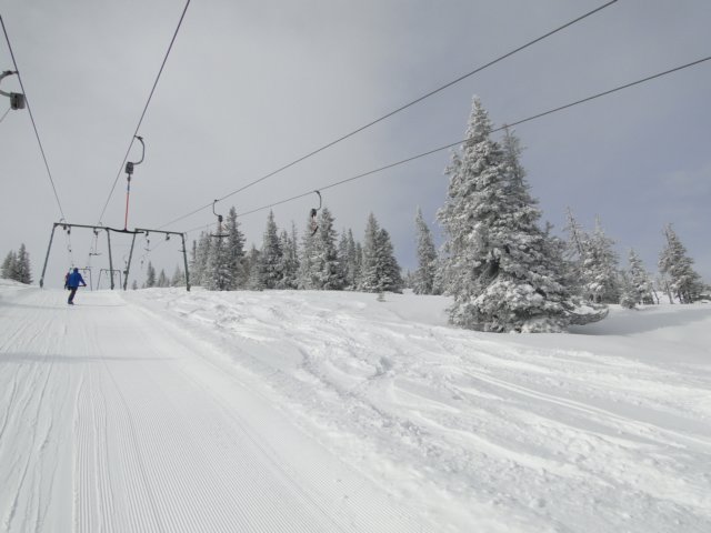 dsc00929.jpg